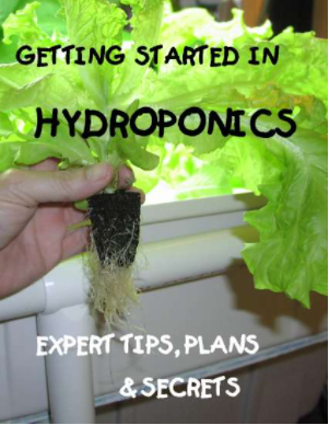 Getting Started in Hydroponics